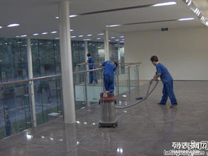 長沙保潔公司中泰家政 15年行業經驗，專業除四害服務