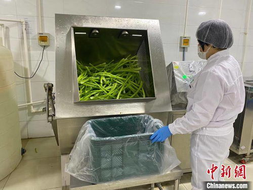 河北淶水土貨“統購統銷”進京生金，清潔服務煥新鄉村經濟