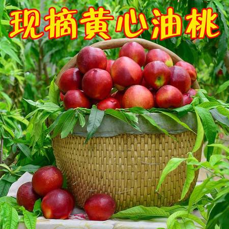 現摘當季時令新鮮水果黃油桃3斤包郵 非水蜜非毛桃，這才是夏天的甜蜜滋味